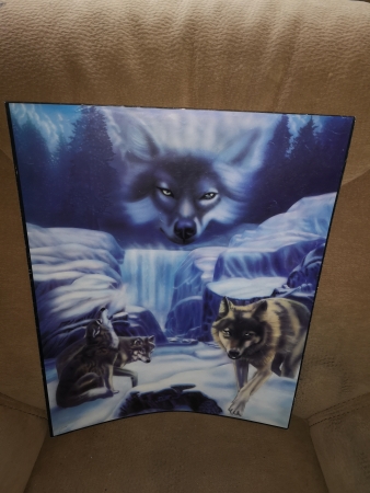 Poster Wölfe